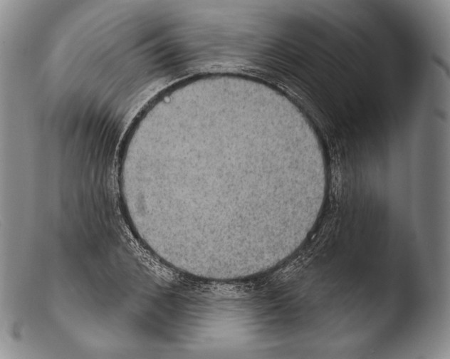 X0000103950976200810311545