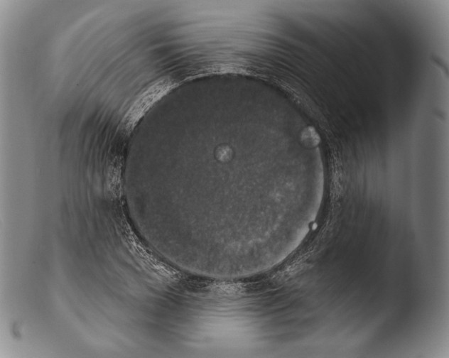 X0000103950977200810311545