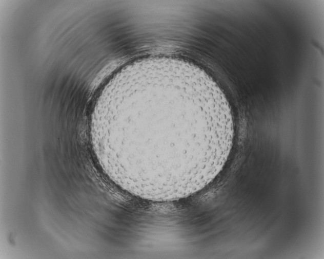 X0000103950978200810311545