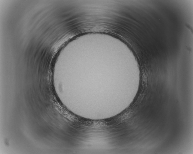 X0000103950979200810311545