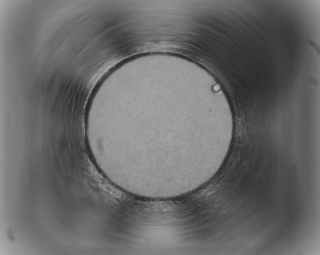 X0000103950980200810311545