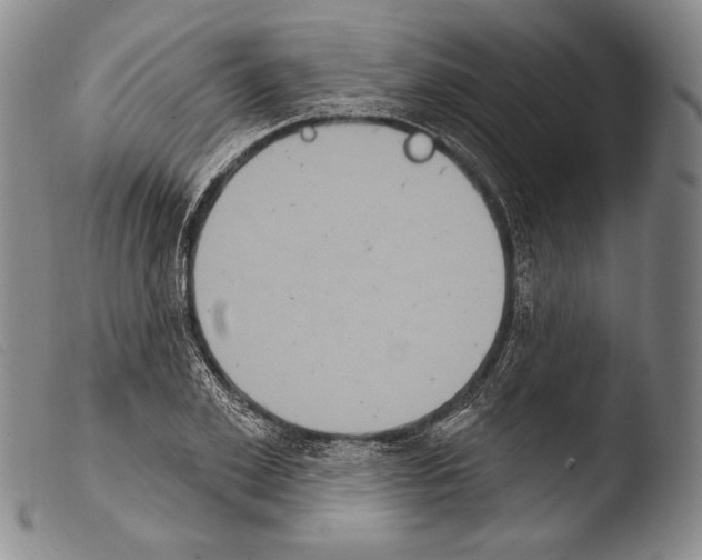 X0000103950981200810311545