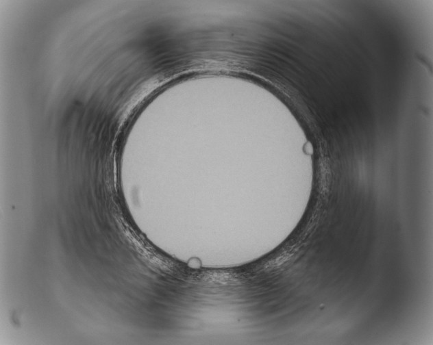 X0000103950982200810311545