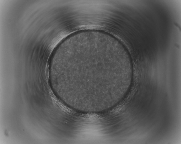 X0000103950983200810311545