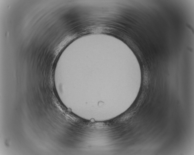 X0000103950986200810311545