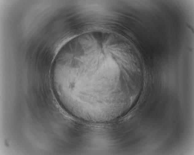 X0000103950987200810311545