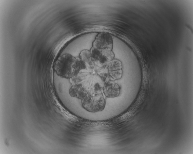 X0000103950988200810311545