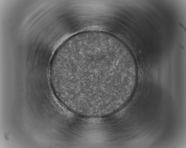X0000103950989200810311545