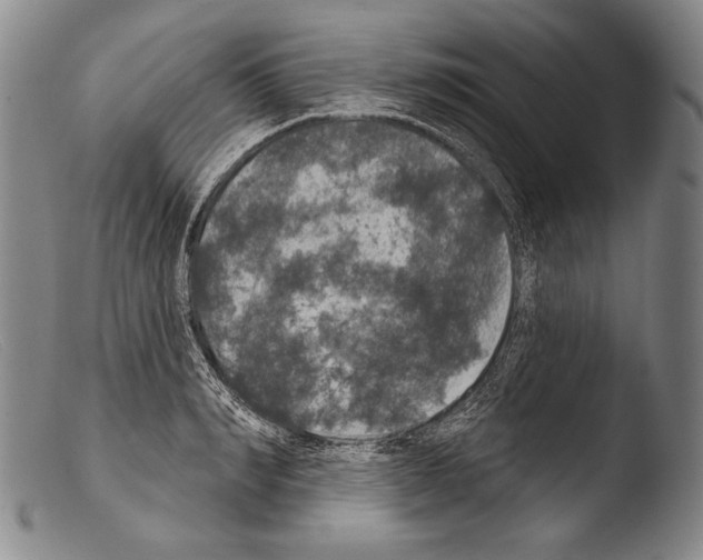 X0000103950990200810311545
