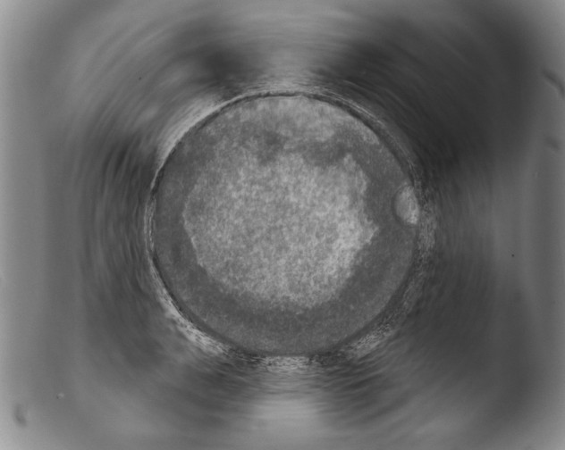 X0000103950991200810311545