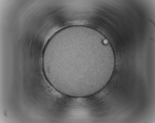 X0000103950992200810311545