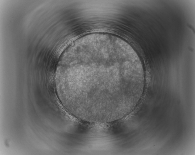X0000103950993200810311545