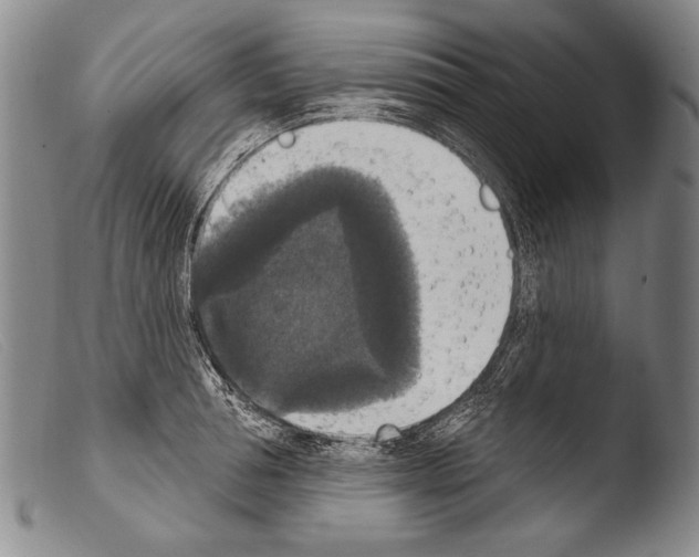 X0000103950994200810311545