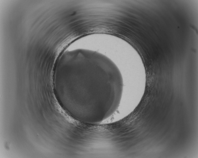 X0000103950995200810311545