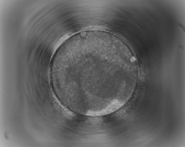 X0000103950997200810311545