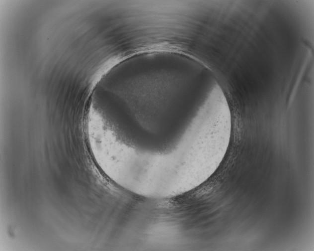 X0000103950998200810311545