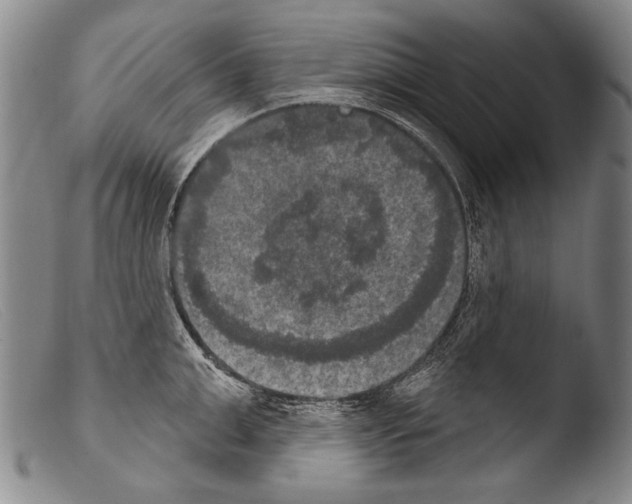 X0000103950999200810311545