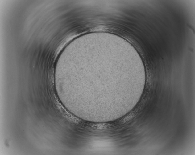 X0000103951000200810311545