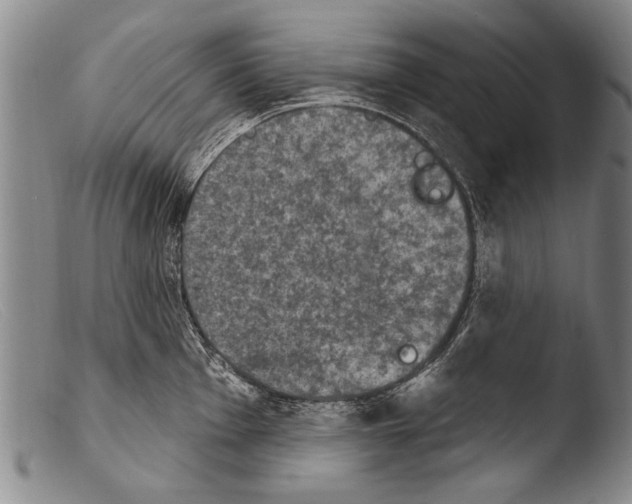 X0000103951001200810311545