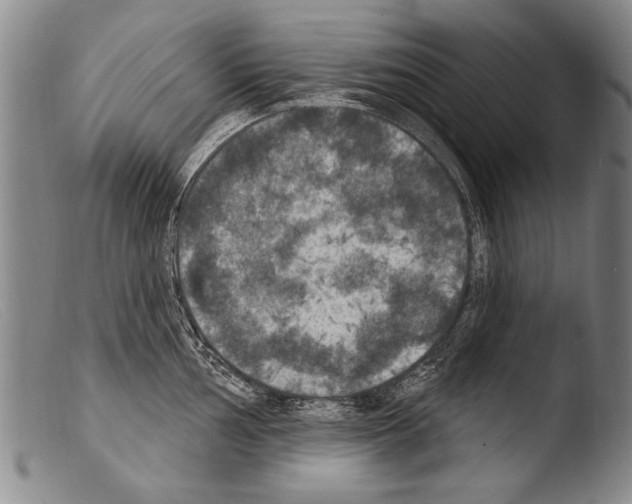 X0000103951002200810311544