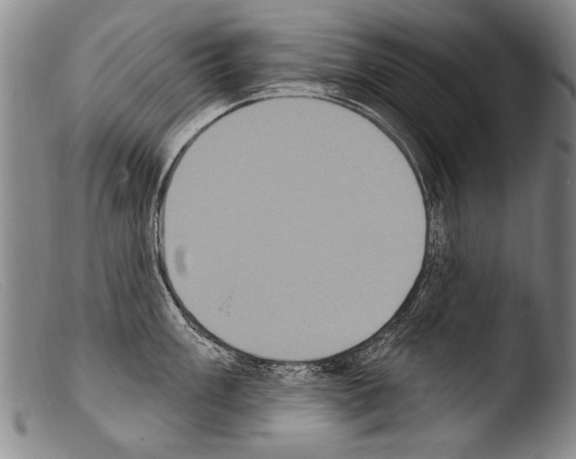 X0000103951003200810311544