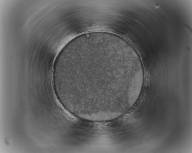 X0000103951005200810311544