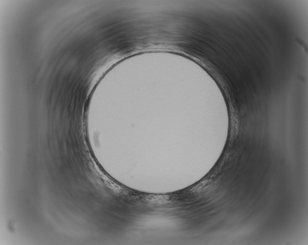 X0000103951006200810311544
