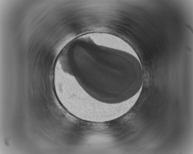 X0000103951007200810311544