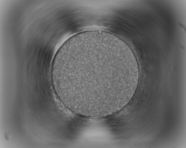 X0000103951008200810311544