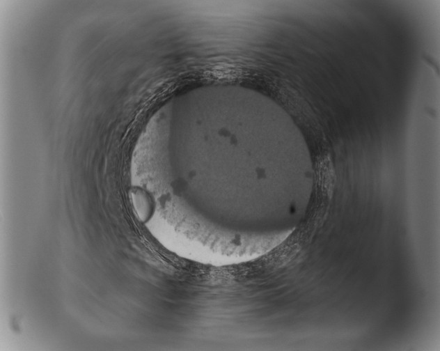 X0000103951009200810311544