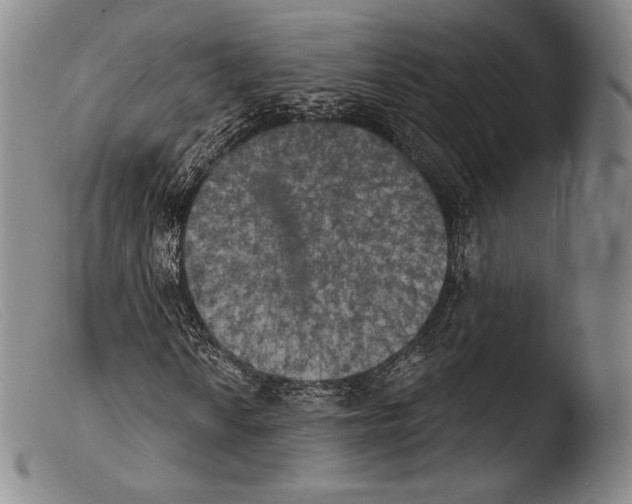 X0000103951010200810311544