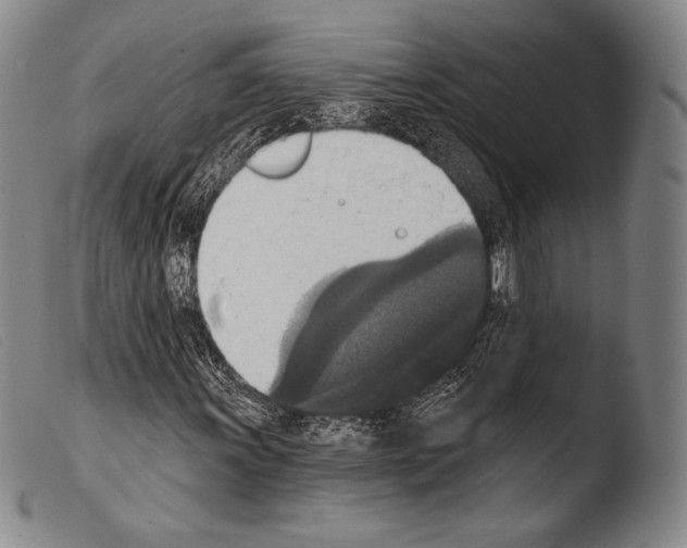 X0000103951011200810311544