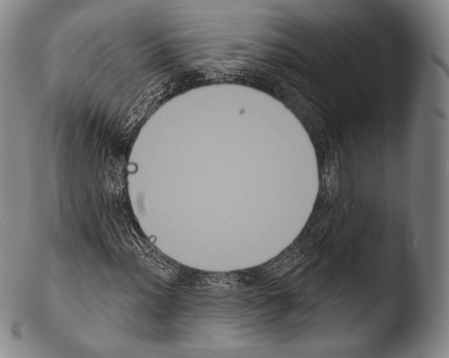 X0000103951012200810311544