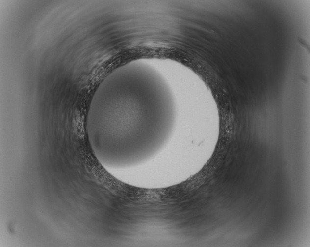 X0000103951013200810311544