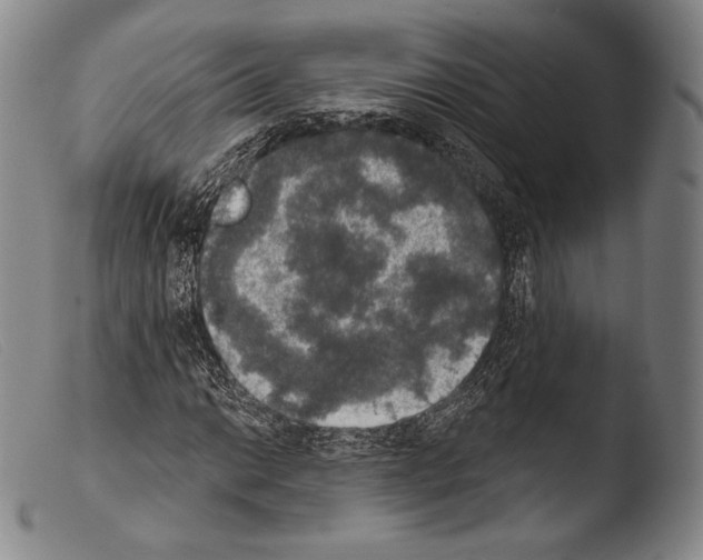X0000103951014200810311544