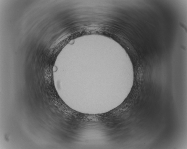 X0000103951015200810311544