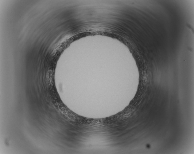X0000103951016200810311544