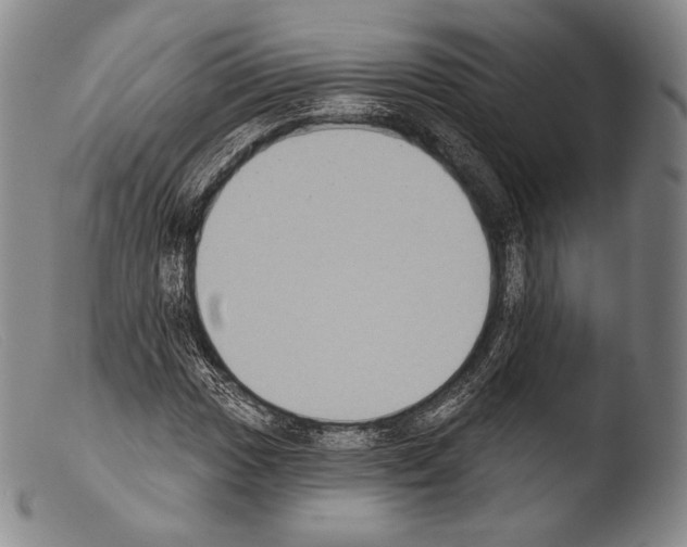 X0000103951017200810311544