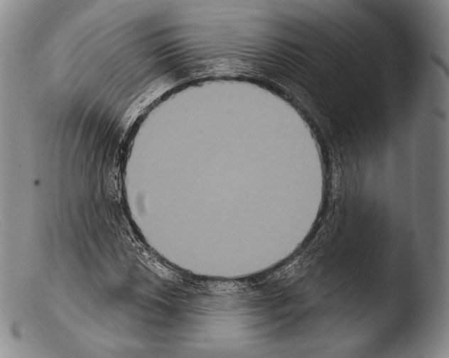 X0000103951018200810311544