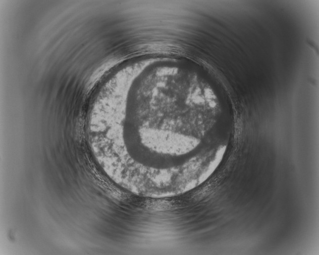 X0000103951019200810311544