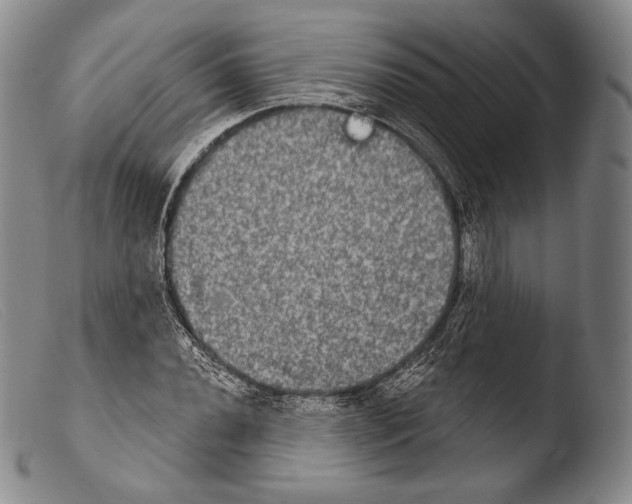 X0000103951020200810311544