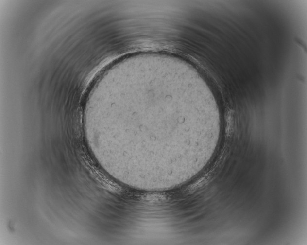 X0000103951021200810311544