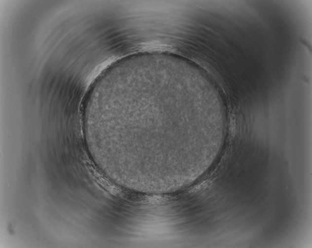 X0000103951022200810311544