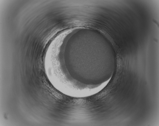 X0000103951023200810311544