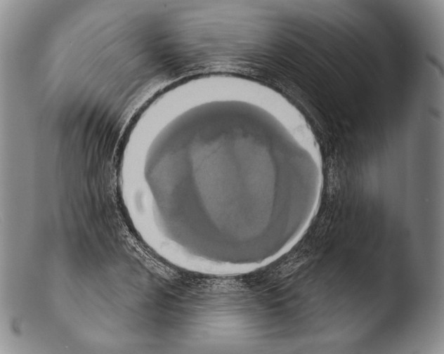 X0000103951024200810311544