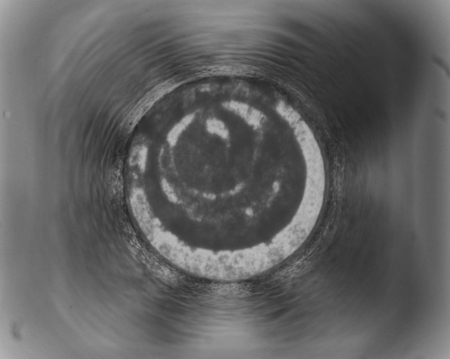 X0000103951025200810311544