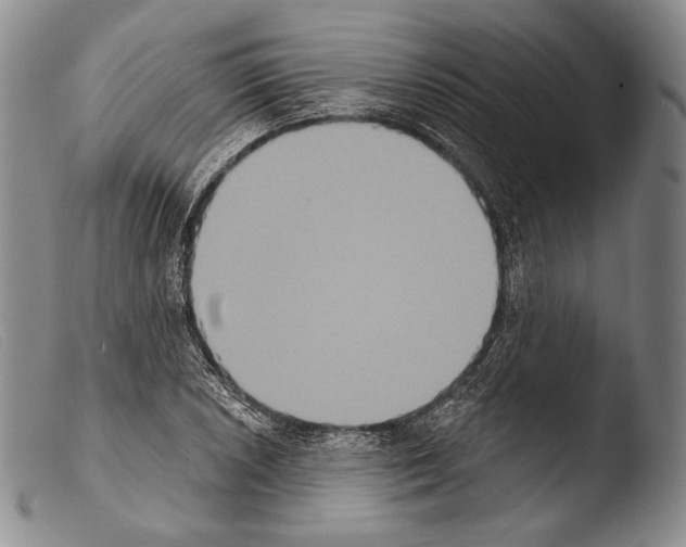 X0000103951026200810311544