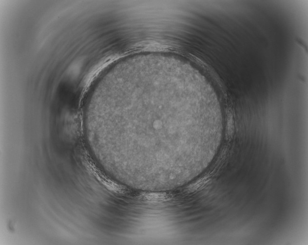 X0000103951027200810311544