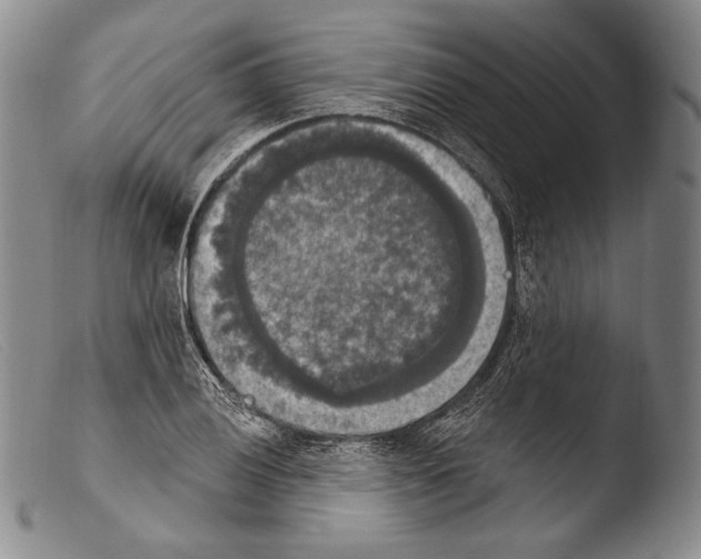 X0000103951028200810311544