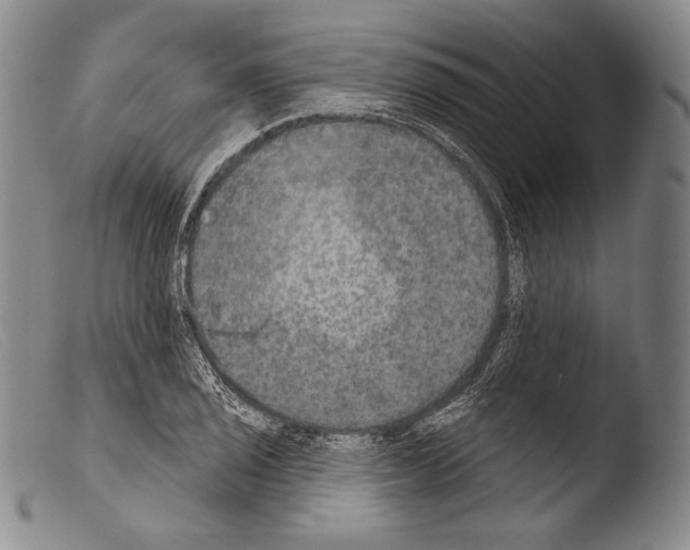 X0000103951029200810311544